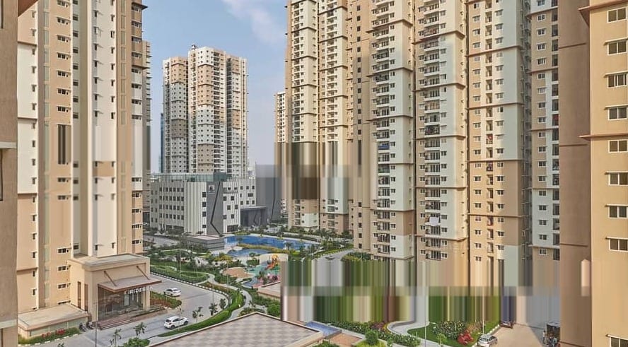 Prestige High Fields